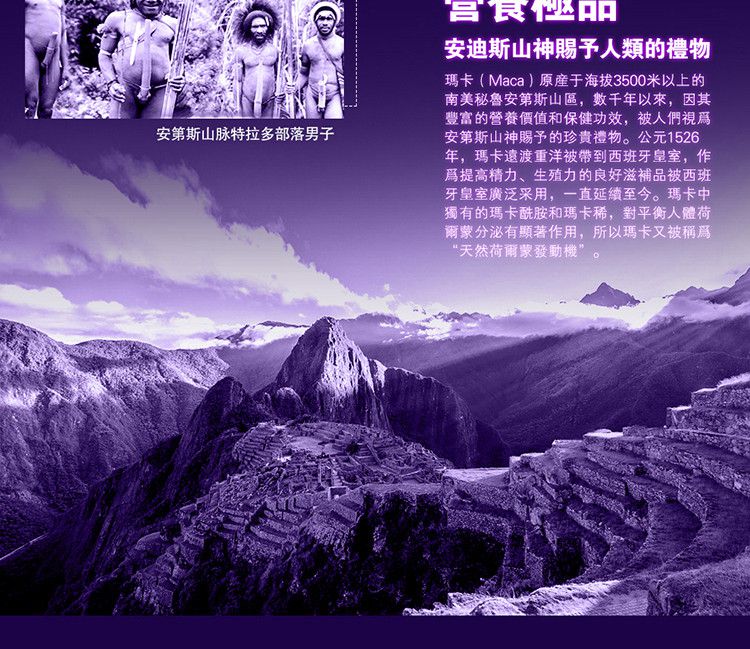 美國輝騰原裝進口瑪卡片05.jpg
