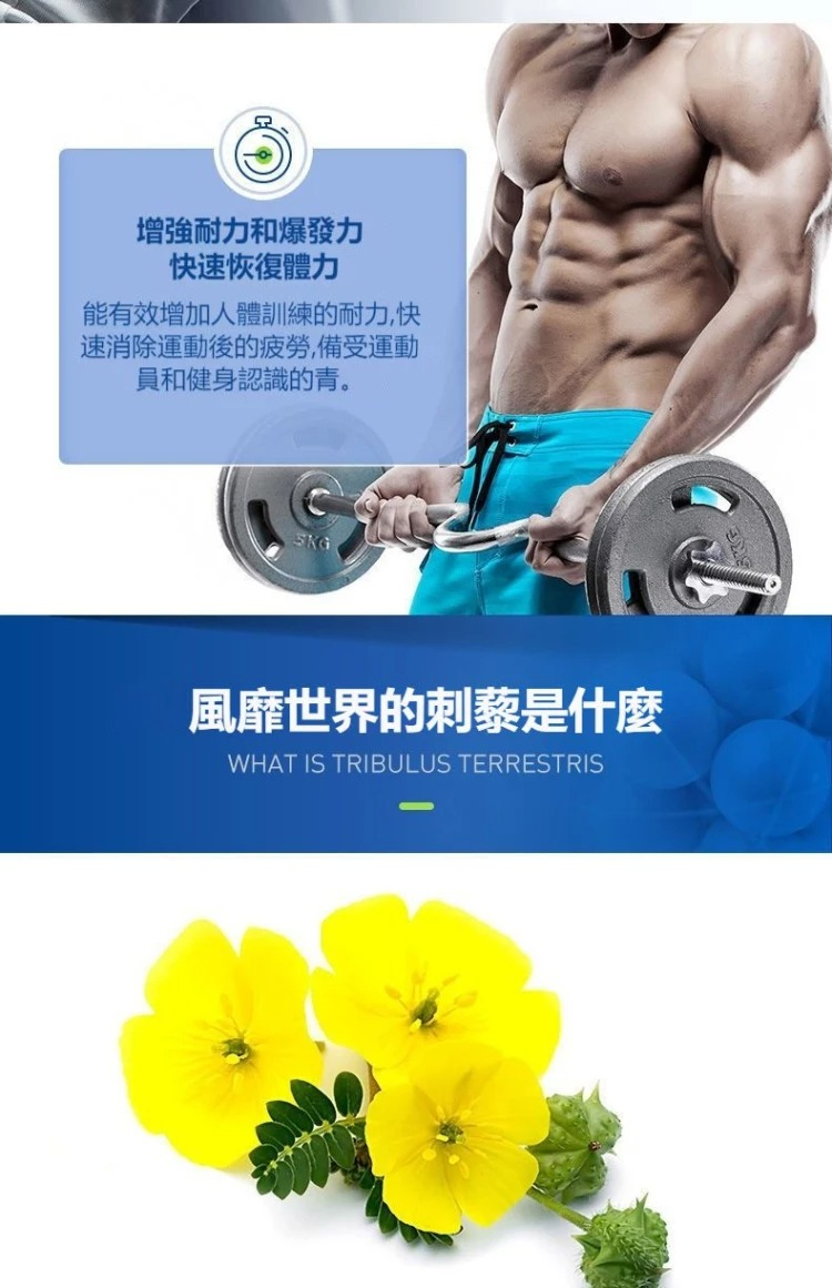 CELLFUEL美國睾丸酮促睾酮素7.jpg