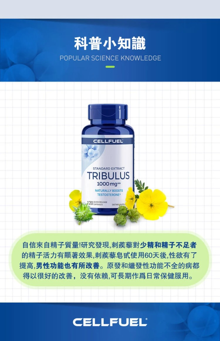 CELLFUEL美國睾丸酮促睾酮素1.jpg