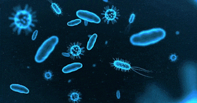 48abcc97-57dd-445d-b82c-0dbf981fca12.gif