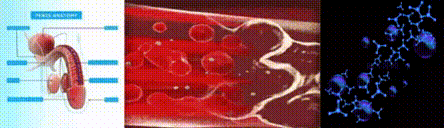 e8bde9a6-84dc-473b-bef1-6c4f19514c06.gif