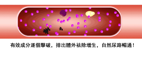 10017.gif